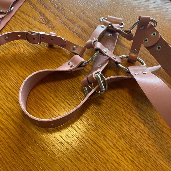 Bleak & Sleek REAL PINK LEATHER Leo Garter belt and garter Size Large - Picture 8 of 12
